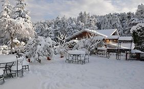 The Chalets Naldehra